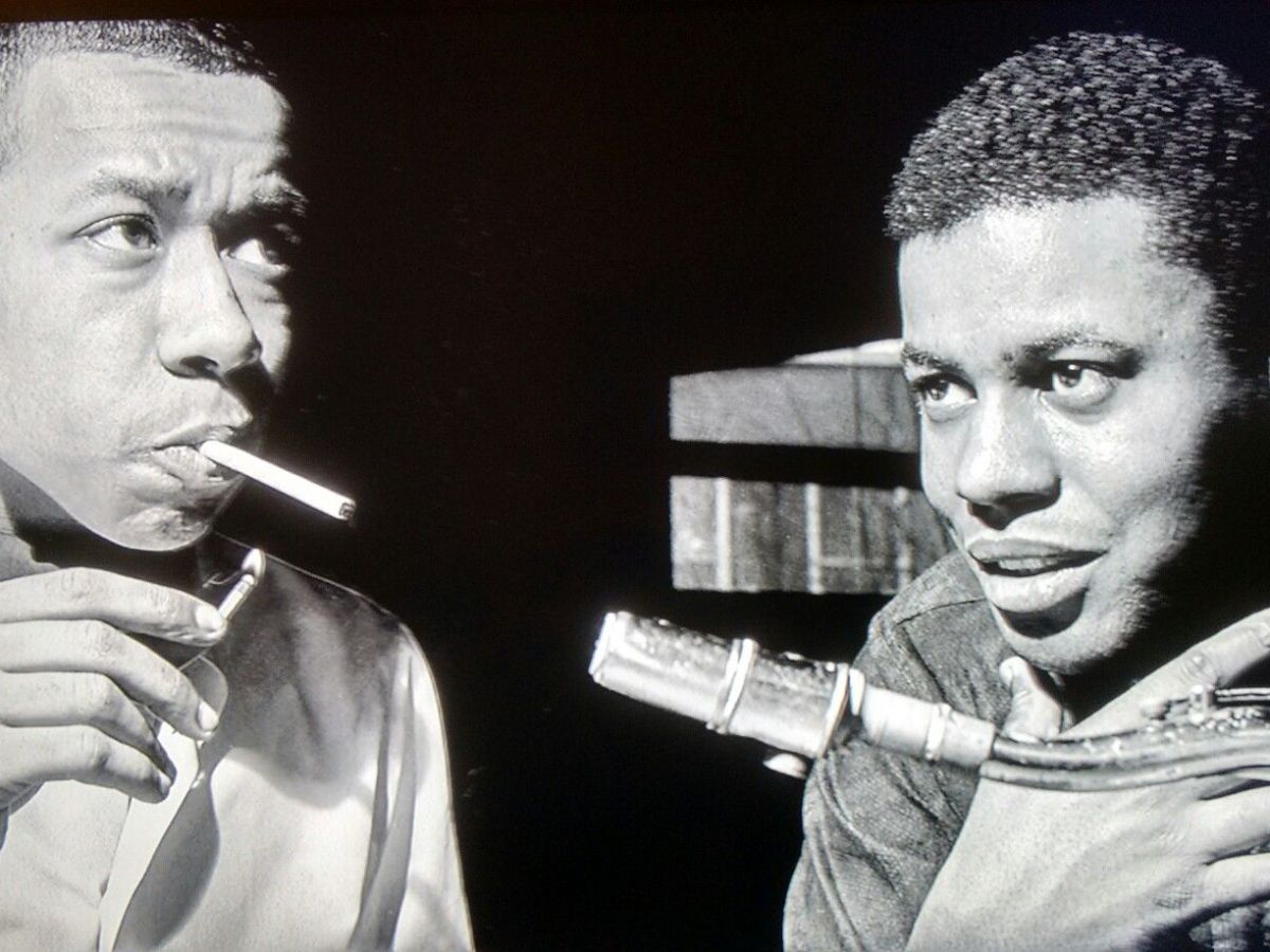 Playlist éphémère #385 – Quand nous rugissions…